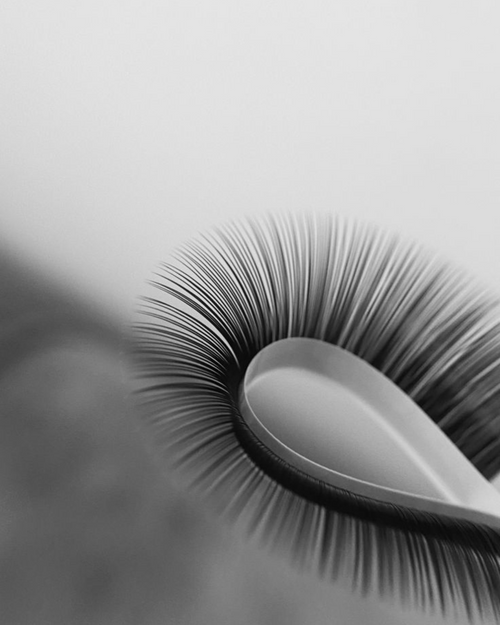 A Lash Artist's Guide to Black Friday
