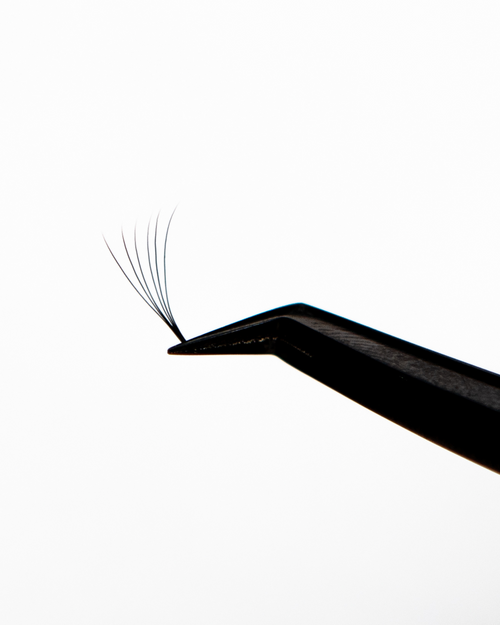 Tweezers holding a VOL-X Pre-made Fan for volume eyelash extensions.