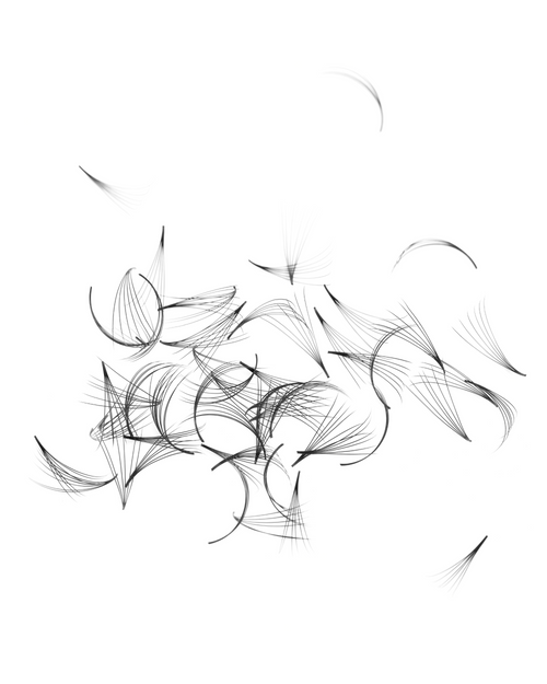 VOL-X Loose Pre-made eyelash extensions Fans scattered on a white surface.