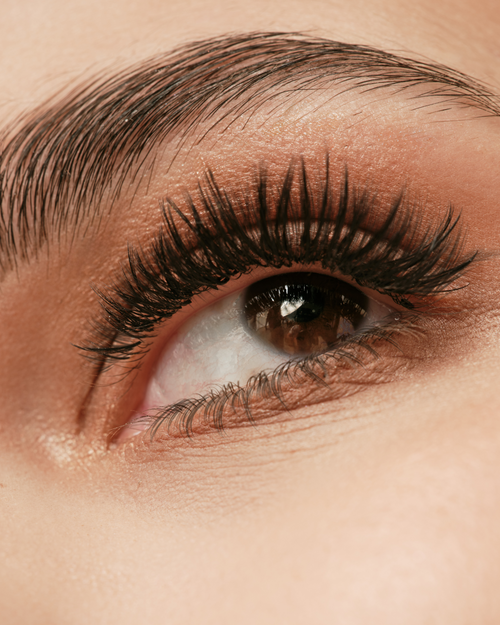 A close up of a model's eye with eyelash extensions.