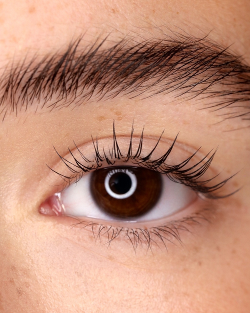 Close up of a model's eye with a Professional Lash Lift.