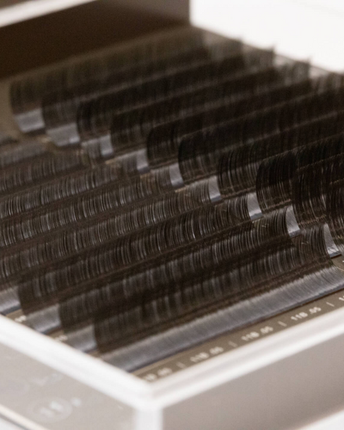 A close up of rows of Brunette eyelash extensions in a tray.