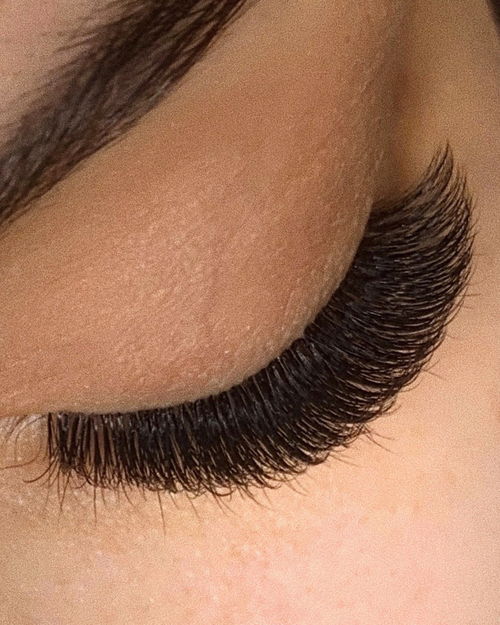 CC-Curl Plush Lashes (Mixed Trays)