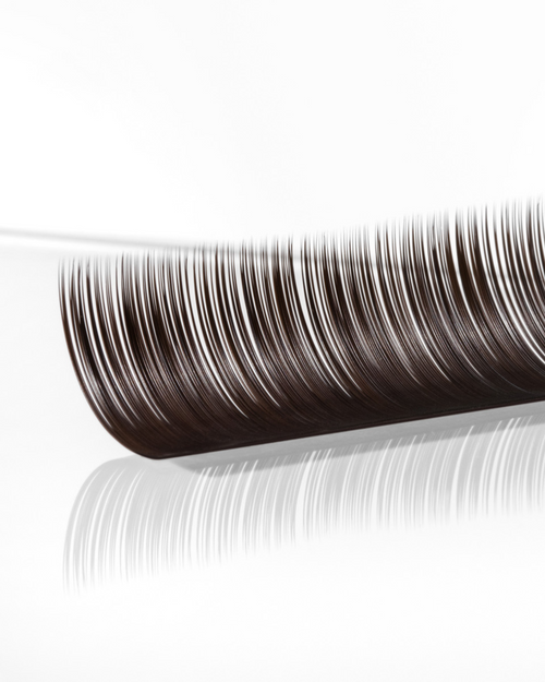 CC-Curl Brunette Lashes (Mixed Trays)