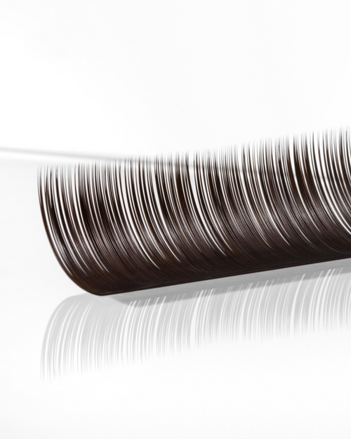 A strip of Brunette Lashes for eyelash extensions on a white surface.