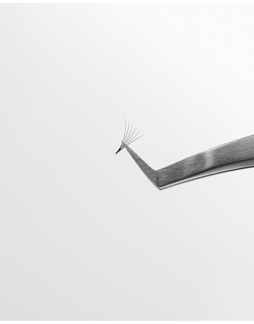 Tweezers holding a Pre-made Fan for volume lash extensions.