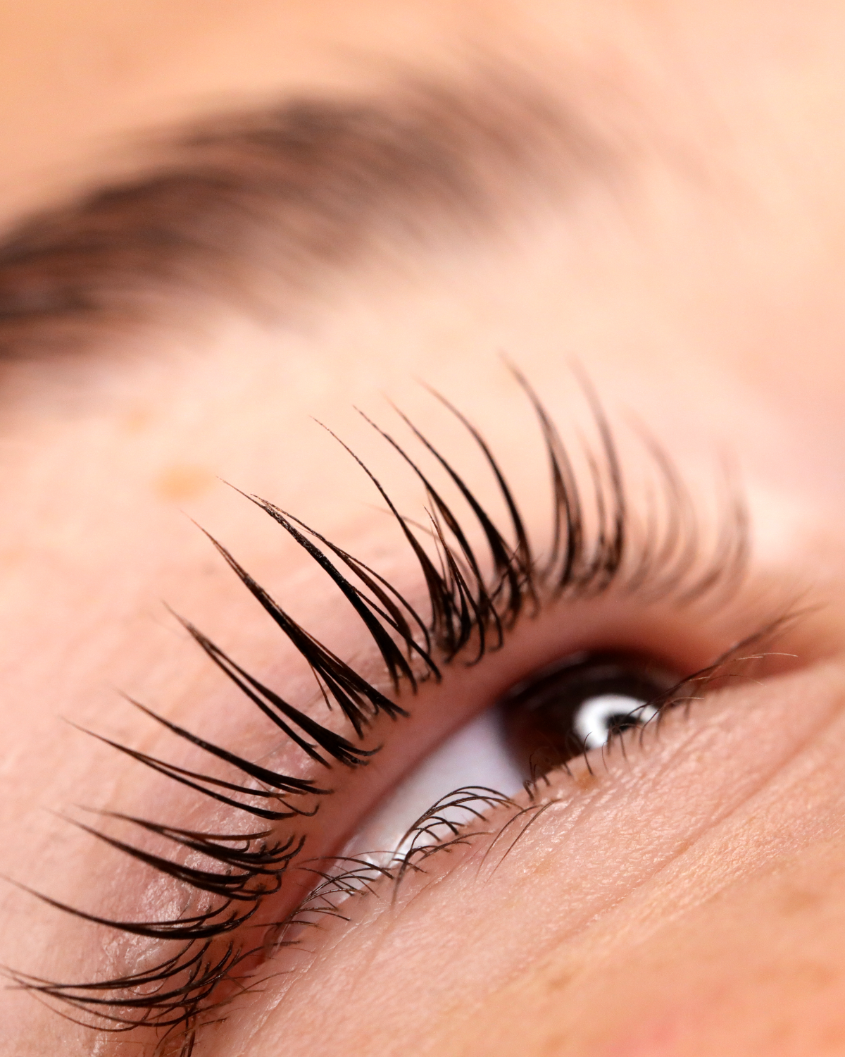 Why Lash Growth Cycles Matter; And Why Your Lashes Should Grow With Su ...