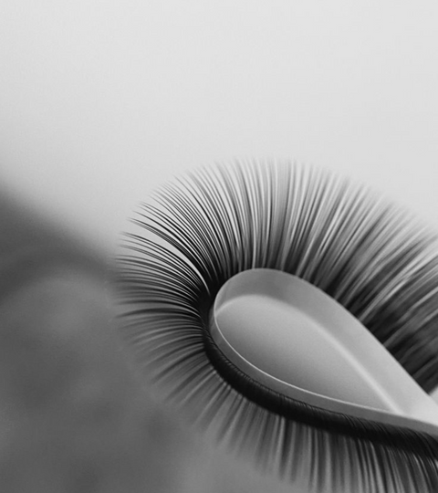 A Lash Artist's Guide to Black Friday