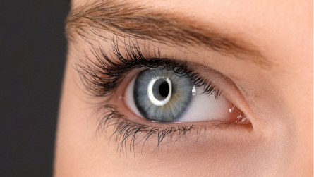 Lash Lifts or Lash Extensions: How To Help Clients Choose