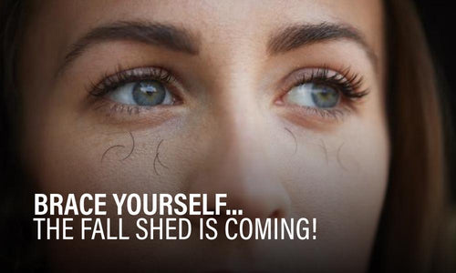 Brace yourself...The Fall Shed is coming!