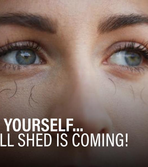 Brace yourself...The Fall Shed is coming!