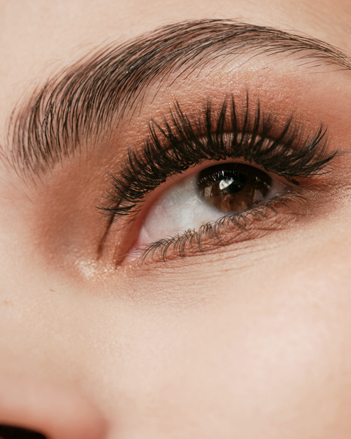A model's eye with eyelash extensions applied.