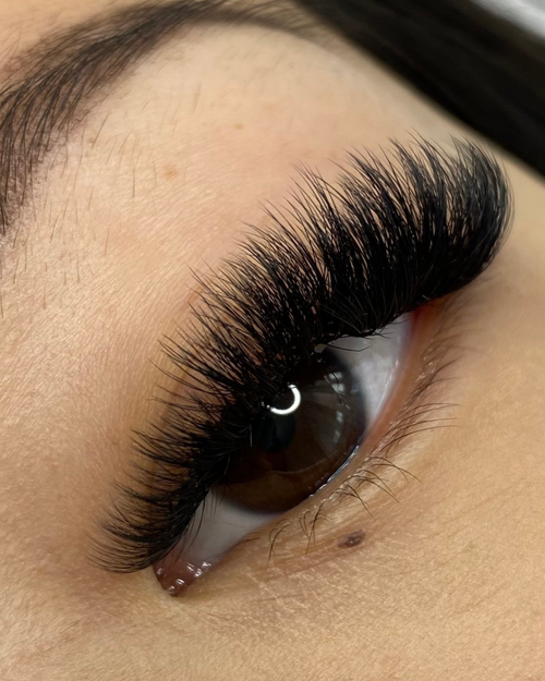 A close up of a model's eye with eyelash extensions applied.