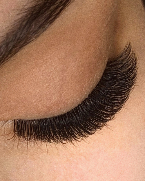Close up of model's eye with Plush eyelash extensions