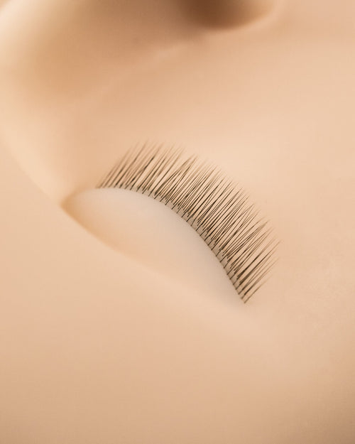Close up of Mannequin Head with Lashes.